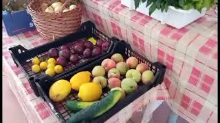 Super Local no Mercado do Calhabé em Coimbra