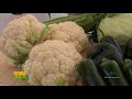 Tierra Fértil TV-Expo Agroalimentaria Guanajuato 2020 (21.11.2020)