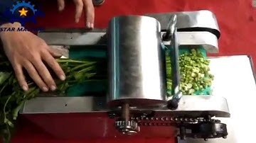 Mini vegetable cutter cutting celery