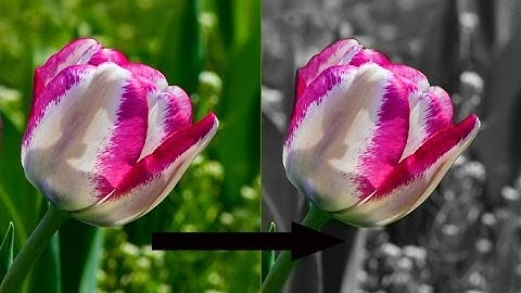 How to make a colour object on black and white background ? Gimp 2.8 tutorial