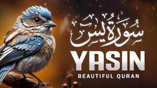 Surah Yaseen(Yasin) | سورۃ یٰسٓ | Ep : 004 | Soft Voice | Beautiful Surah |