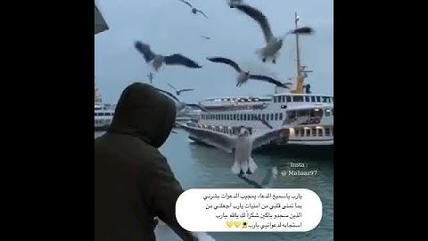 أرح قلبك -قرآن كريم بصوت إسلام صبحي/حالات واتساب دينية /مقاطع دينية قصيرة /مقاطع إنستقرام دينية