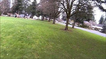 Hoverthings Flip 360 Maiden