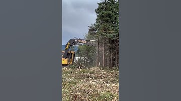Operator mulching trees #shorts #operator #tree #realestate #cutting #tigercat  #tiktok
