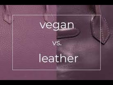 Analysing the Pros and Cons of Vegan Leather