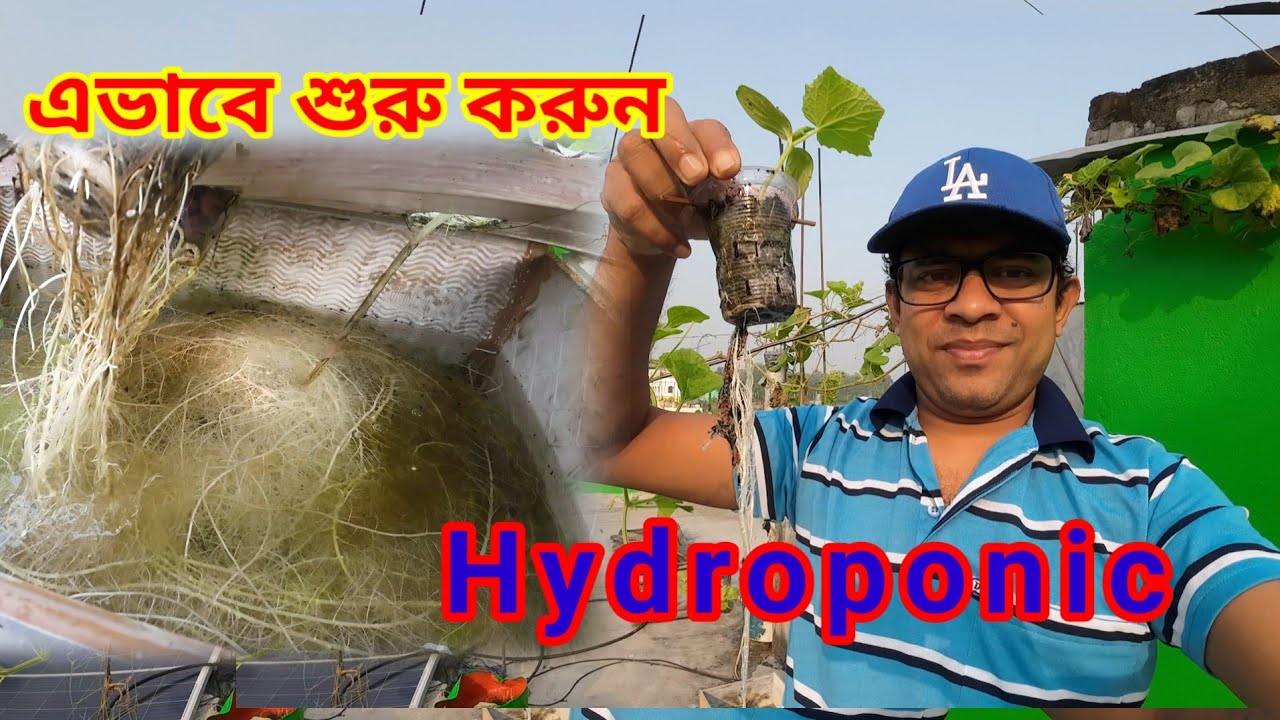 How to Start Hydroponic for Beginners কিভাবে Hydroponic শুরু করবেন # ...