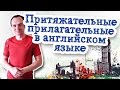 Притяжательные прилагательные в английском языке