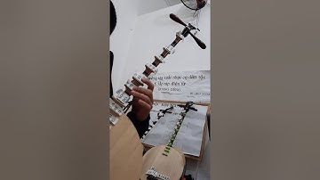 DẠY ĐÀN NGUYỆT Bài Lưu Thủy  CHO NGƯỜI DỐT CỰC DỐT