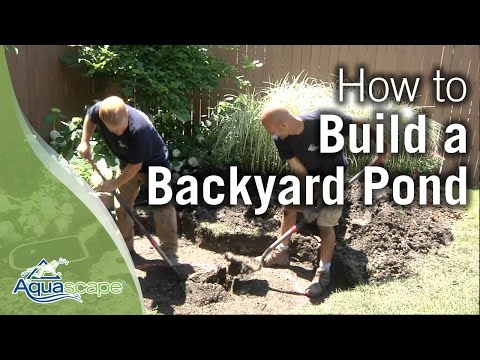 How To Build a Backyard Pond