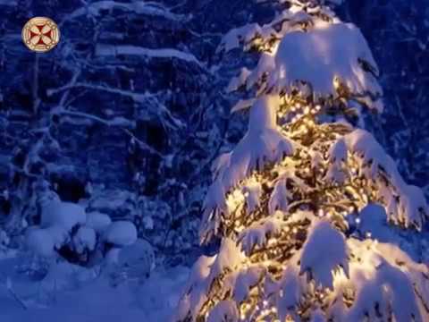 შობა-ახალი წლის ისტორია