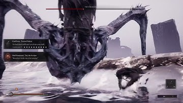 Mortal Shell bug vs last boss