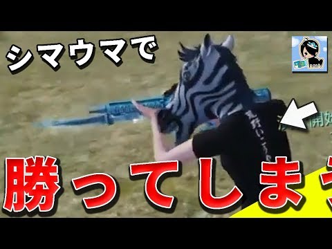 【荒野行動】シマウマで勝ってしまうまで・・・！親父ギャグでサーバーと視聴者を凍らせた配信！