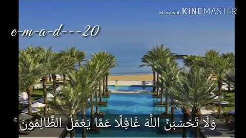 ولا تحسبن الله غافلا عما يعمل الظالمون  القارئ نايف الفيصل