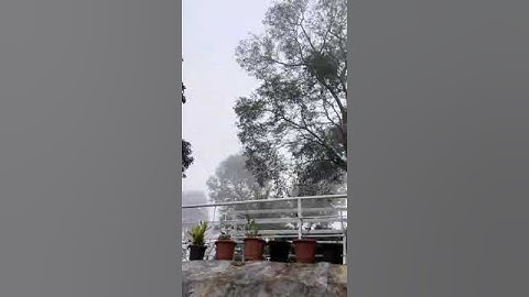 Hazewoods resort Vattathuvayal Vaduvanchal Wayanad Kerala - 6235221011