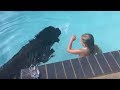 Newfoundland dog displays water rescue instincts