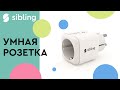 Умная розетка Powerswitch