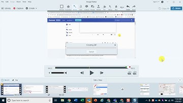 Creating Animated GIFs in Snagit