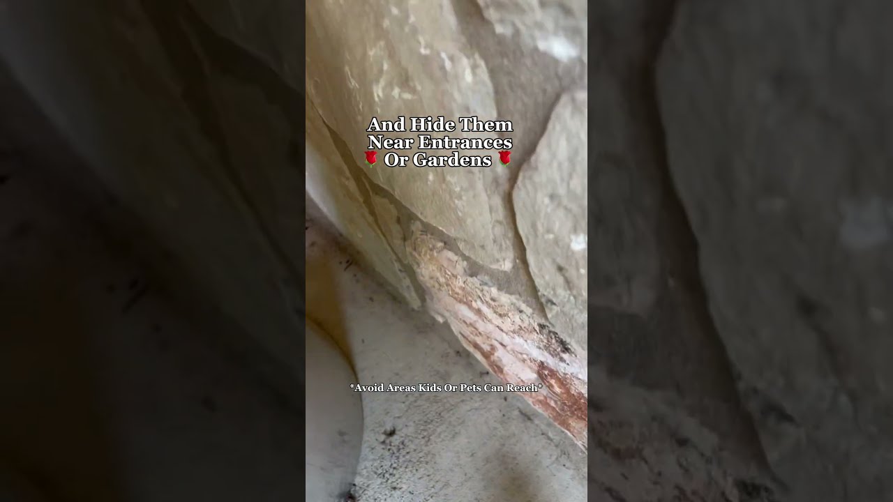  How To Keep Bugs Out Of Your House This Spring Summer
