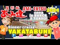 Tokyo cruising
