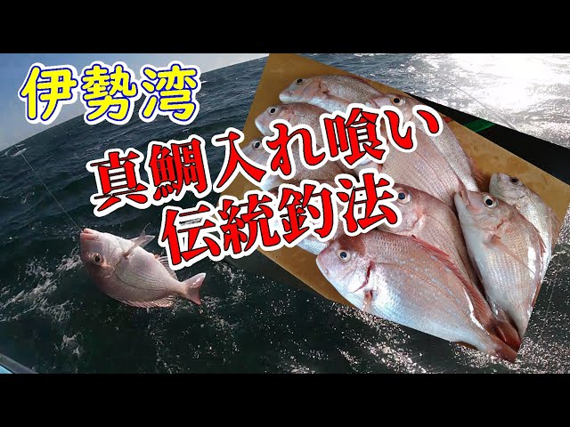 伊勢湾の漁師発祥の入れ食い漁法 ウタセマダイ釣りに行ってき