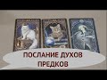 ТАРО 🔮🌟ПОСЛАНИЕ ДУХОВ ПРЕДКОВ на ХЕЛЛОУИН @ТИАНА ТАРО ДУШЕВНОЕ ГАДАНИЕ  Таро расклад он-лайн