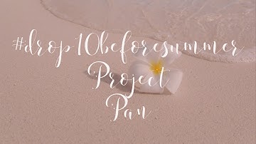 Drop 10 Before Summer Project Pan FINALE ~ PANtastic Ladies!