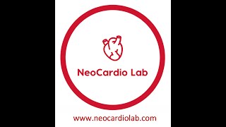 Views and measurements in neonatal echocardiography Part 2