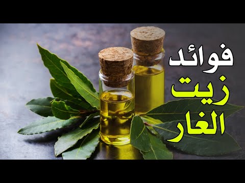 ما هي فوائد زيت الغار