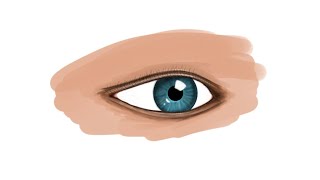 Drawing an Eye on Galaxy Tab S7 Plus