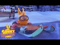 SUNNY BUNNIES - Under the Christmas Tree | Season 3 | Cartoons for Children