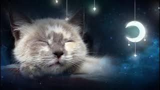 Lagu Pengantar Tidur Santai untuk Kucing dan Anak Kucing 🐱💤 (dengan suara dengkuran Kucing) - MUSIK KUCING - 1 JAM