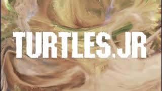 SENIORITAS ANJING- TURTLES.JR