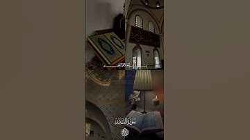 سورة القدر - تلاوة خاشعة 😍🤍 #ليلة_القدر #قرآن_كريم #اكتب_شي_تؤجر_عليه 🤲🏻