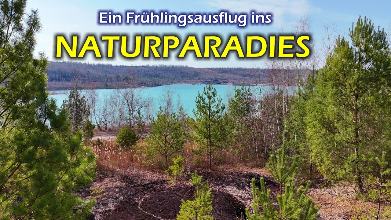 Natur erobert zurück - Die faszinierende Verwandlung einer verlassenen Tongrube