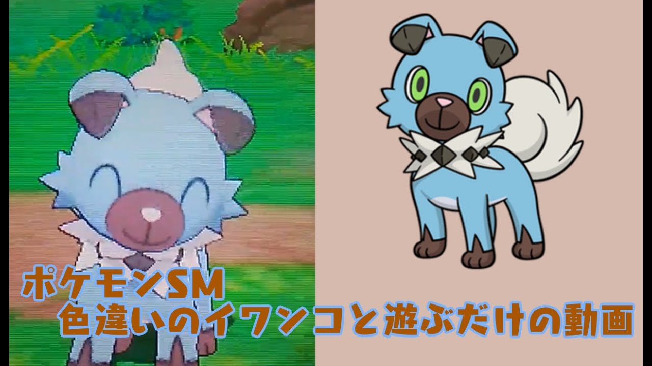 ポケモンsm 色違いのイワンコと遊ぶだけの動画 ポケリフレ Youtube