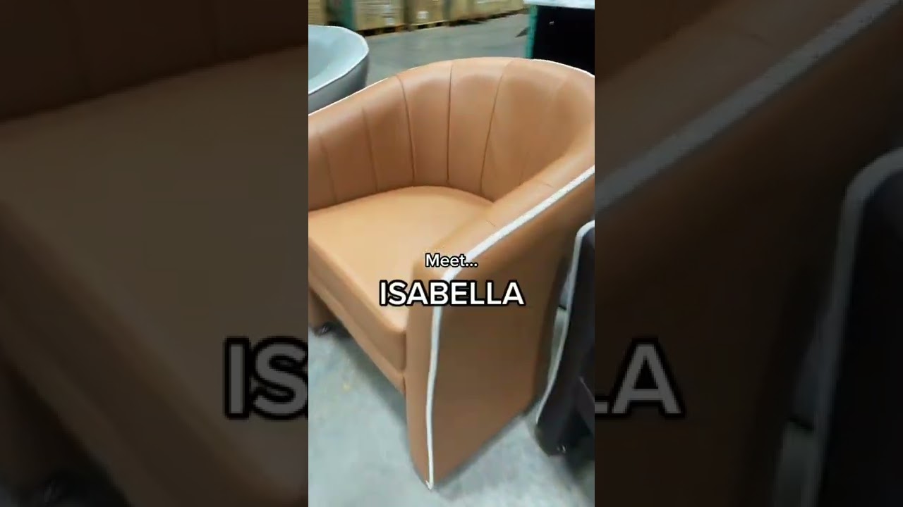 Meet our New Arrival, ISABELLA The Curvaceous Customer Salon Chair.🤩✨ 