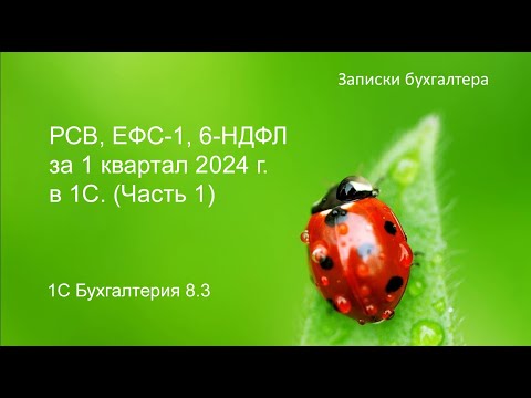 РСВ, ЕФС-1, 6-НДФЛ за 1 квартал 2024 года в программе 1С