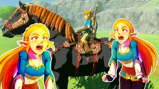 Both Zeldas WANT Ganon's HORSE