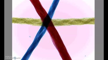 Lab 2 - Procedure 2.4 - Threads