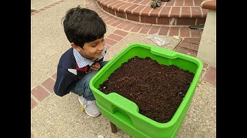 Worm composting made easy: step by step video of everything involved.