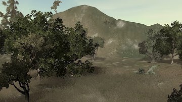 The Valley SpeedTree Demo   IDV 2003