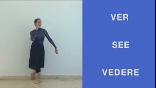 Pantomima Vedere - Ver - See