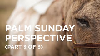 Palm Sunday Perspective (Part 3 of 3) - 03/30/23