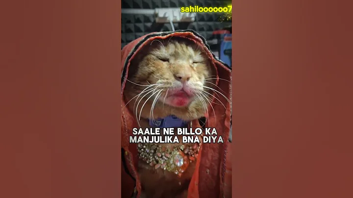 Video 11820691: cat funnycats, cat travel, cute cat