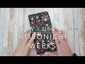 HOBONICHI WEEKS FLIP | HOW I USE IT AND NO SPEND UPDATE