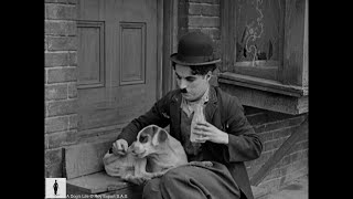 Charlie Chaplin saves Scraps from a wild pack of dogs  From 'A Dog's Life'