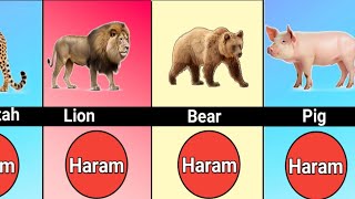 Haram animal in Islam