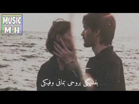 شفتها وكانها كانت الجنه بعيوني السيلاوي جديد 2020 حالات واتس اب عشاني