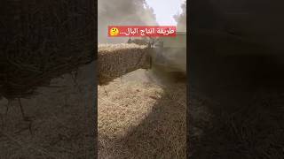 هذه هي طريقة إنتاج البال (الفصة،الخرطال..) عيد_الاضحى المغرب الفلاحة الفلاحة_في_المغرب