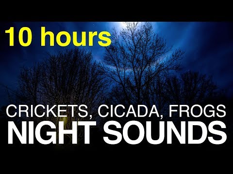 (10 HOURS) Sleep Sounds, Crickets, Frogs, Cicadas at Night --- Dark Black Screen